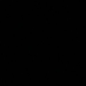 Meet your Posher, Gavin